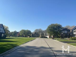 Carriage Hill subdivision in Darien, IL
