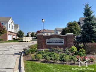 Lexington Hills