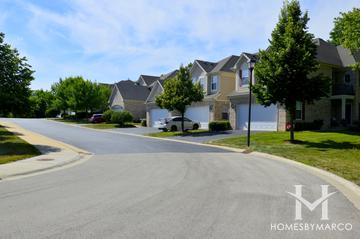 Lexington Oaks subdivision in Palatine, IL