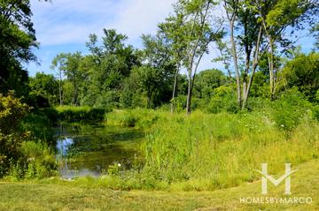Lexington Oaks subdivision in Palatine, IL