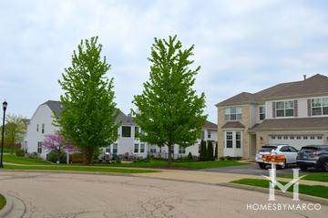 Georgian Place at Wing Pointe subdivision in Huntley, IL