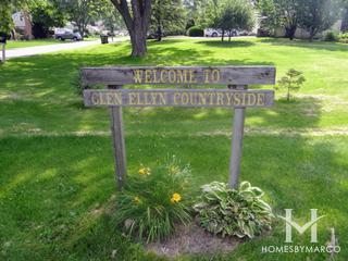 Glen Ellyn Countryside
