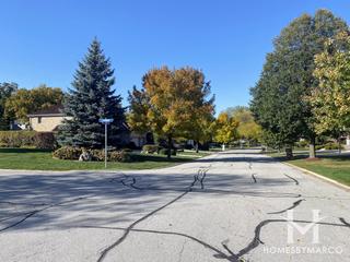 Tara Hill North subdivision in Darien, IL