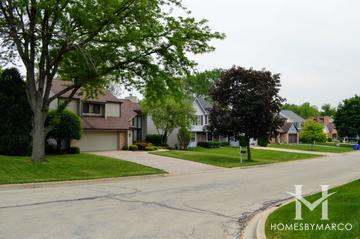 Manchester Woods subdivision in Wheaton, IL