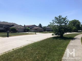 Photos of Spring Creek subdivision in Homer Glen, IL