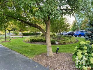 6420 Double Eagle building in Woodridge, IL