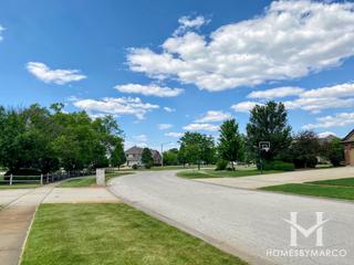 Grassy Knoll subdivision in New Lenox, IL