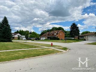 Springview subdivision in New Lenox, IL