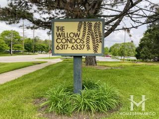Photos of The Willows subdivision in Willowbrook, IL