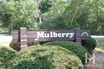 Photos of Mulberry Estates subdivision in Gurnee, IL