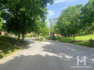 Pine Tree subdivision in Burr Ridge, IL