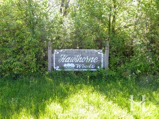 Photos of Hawthorne Woods subdivision in Homer Glen, IL