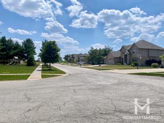 Nelson Ridge subdivision in New Lenox, IL