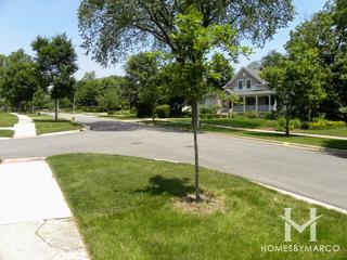 The Premier Collection