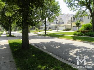 The Premier Collection subdivision in Elmhurst, IL