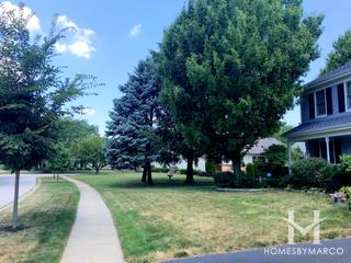 Fairway Home Windcrest subdivision in Oswego, IL