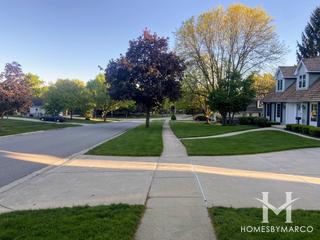 Williamsburg Commons