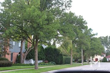 Somerset Courts subdivision in Arlington Heights, IL