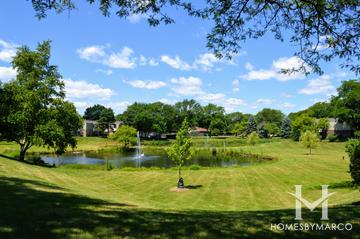 Farmingdale North subdivision in Downers Grove, IL