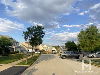 Photos of Vantage Point subdivision in Roselle, IL