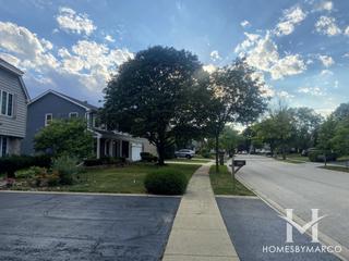 Vantage Point subdivision in Roselle, IL