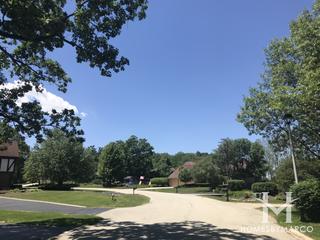 Spring Lake Woods subdivision in Homer Glen, IL