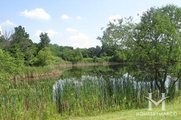 Hazelwood subdivision in Crystal Lake, IL