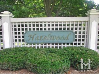 Hazelwood
