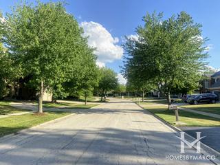 Rosedale subdivision in Roselle, IL