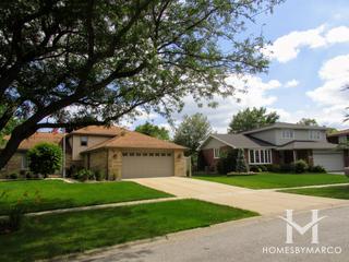 Photos of Raintree subdivision in Tinley Park, IL