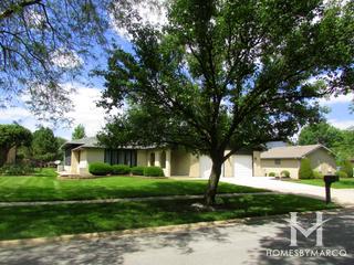 Photos of Timbers West subdivision in Tinley Park, IL