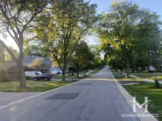 Mcintosh subdivision in Clarendon Hills, IL