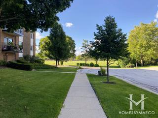 Meadows subdivision in Mount Prospect, IL