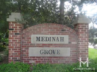 Medinah Grove
