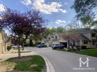 Walnut Hill subdivision in Winfield, IL