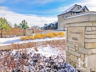 Hawthorn Hills subdivision in Hawthorn Woods, IL