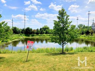 Lake Ridge Townhomes subdivision in Mundelein, IL