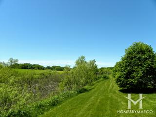 Cedar Brooke subdivision in Homer Glen, IL