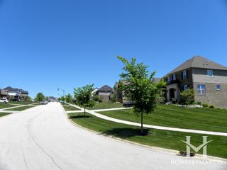 Cedar Brooke subdivision in Homer Glen, IL