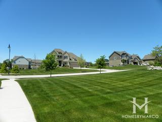 Cedar Brooke subdivision in Homer Glen, IL