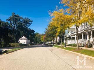 Somerset Townhomes subdivision in Lake Zurich, IL