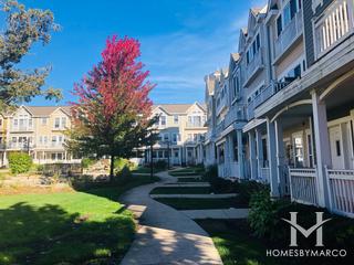 Somerset Townhomes subdivision in Lake Zurich, IL