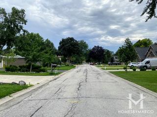Lake Briarwood subdivision in Mount Prospect, IL