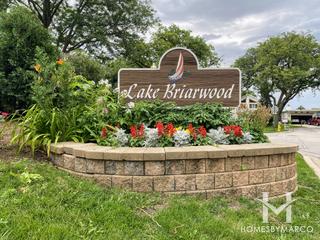 Photos of Lake Briarwood subdivision in Mount Prospect, IL