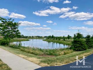 Bristol Park subdivision in New Lenox, IL