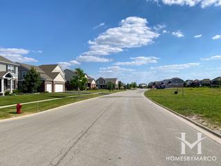 Bristol Park subdivision in New Lenox, IL