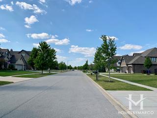 Bristol Park subdivision in New Lenox, IL