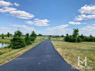 Bristol Park subdivision in New Lenox, IL