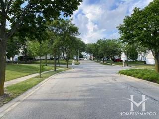 Glens of College Green subdivision in Elgin, IL