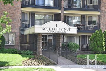Photos of 1 N. Chestnut Avenue building in Arlington Heights, IL